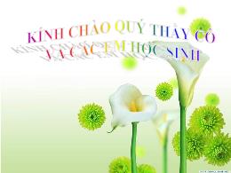 Bài giảng Địa lí 11 (Kết nối tri thức) - Bài 11: Khu vực Đông Nam Á (Tiết 1)