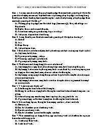 Bài tập ôn tập Tin học 11 (Kết nối tri thức) 